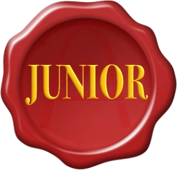 macaron-junior profil junior, moins de 2 ans d'expérience